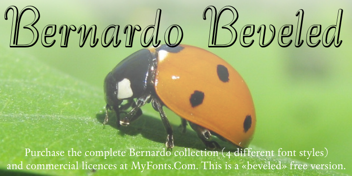 Bernardo Beveled